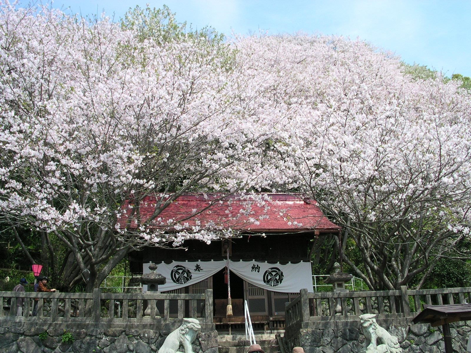 ”蒲原中学校１年生が想う１０年後の蒲原”　１年２組　４班